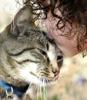 Grey and white cat being kissed by woman